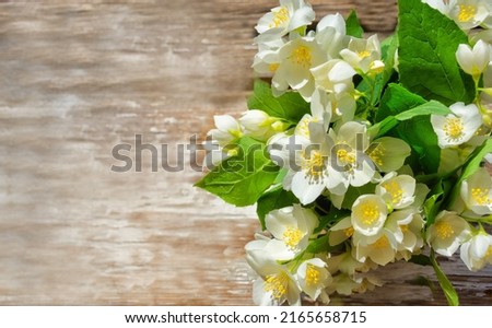 Jasmine in a decorative bucket on a wooden background. Blooming English dogwood, beautiful delicate white flowers of a group of false jasmine, macro close-up