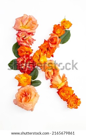 Capital letter K made with red orange roses, isolated on white background