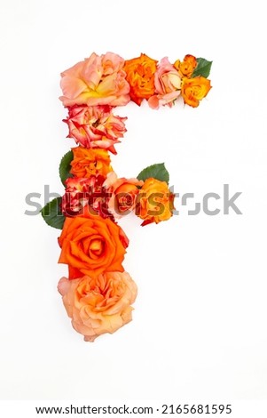Capital letter F made with red orange roses, isolated on white background