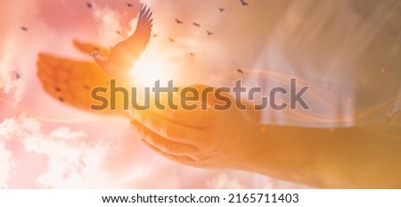 Woman praying with free bird,glittering light shine through hand women,who raise hands,to pray for God blessing,light and sunset background mind sanctification,concept pure spirit and spirituality