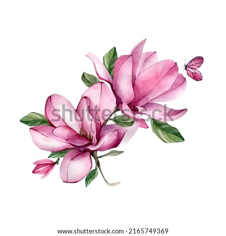 Hand Drawn Watercolor Pink Magnolia Flower Clipart. Watercolour Floral Magnoly Composition perfect for invitations, greeting cards. Pink Beautiful Flowers Illustration isolated on white background