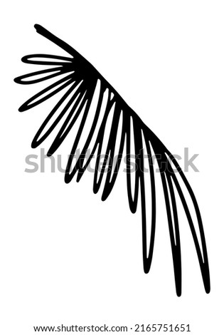 Palm leaf clipart. Tropical flora doodle sketch. Hand drawn vector botany illustration. Engraving style doodle isolated on white.