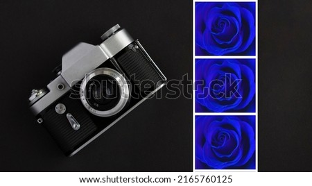 Old camera and blue rose on the black background. Collage. Top view.