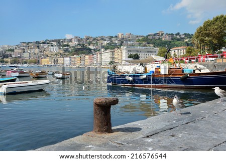 View of the seafront Caracciolo of Naples - Italy Royalty-Free Stock Photo #216576544