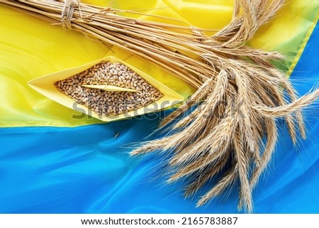 grain wheat and spikelets on a blue background. Ukrainian grain and problems of blockade of ports.	
 Royalty-Free Stock Photo #2165783887