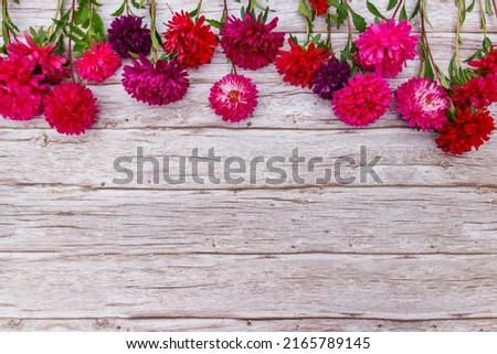Aster flowers on wooden background. Top view, copy space