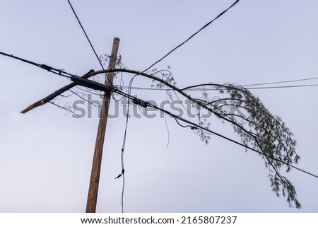 Low down view of tree branch caught in overhead electricity cables as severe storm creates major disruption and risk to life warning. With copy space. Royalty-Free Stock Photo #2165807237