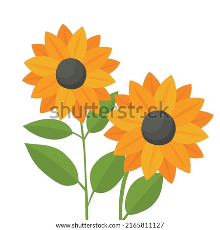 Two beautiful sunflower flowers for the design. Vector illustration in summer style