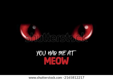 You Had Me At Meow. Vector 3d Realistic Red Cats Eye of a Black Cat. Cat Look in the Dark Black Background Closeup. Glowing Cat Eyes