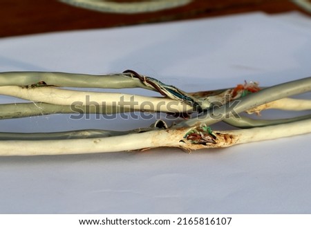 
Network cable is broken. Closeup shot of a broken UTP ethernet cable. Break network cable isolated.
 Royalty-Free Stock Photo #2165816107