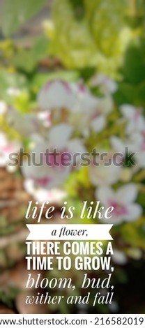 Motivational quote "life is like a flower, there comes a time to grow, bloom, bud, wither and fall". inspirational quote image