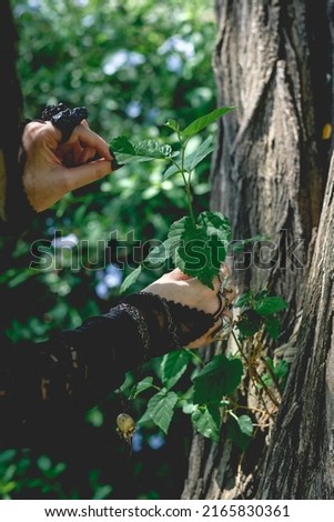 Beautiful hands of young gothic and witch woman with black nails and accessories touching tree and leaves in the forest	