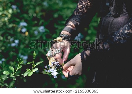 Beautiful hands and arms of young gothic and witch woman with black nails and accessories touching little flowers in the forest