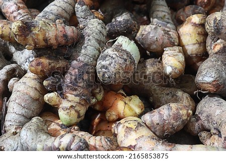 In addition to coriander and pepper, turmeric is one of the ingredients that are often used in traditional and modern dishes. Royalty-Free Stock Photo #2165853875