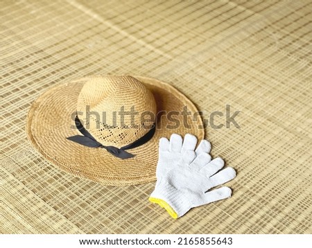 Straw Hat and Army Hands in Goza Background