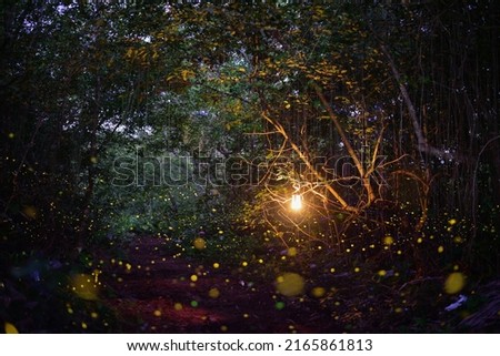 Fireflies twinkle in the forest It was a beautiful, enchanting night. Royalty-Free Stock Photo #2165861813