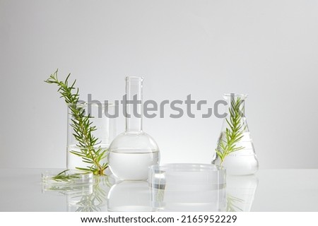 Research on green leaf with fluid in beaker and glassware laboratory equipment , chemistry and development on nature research , white background experiment content Royalty-Free Stock Photo #2165952229