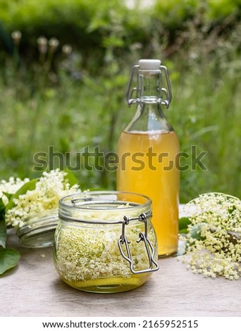 Classic elderflower cordial recipe with wild foraged elderflowers and fresh lemon juice. The easy-made base for summer lemonades, drinks, and also baking. Vertical orientation Royalty-Free Stock Photo #2165952515