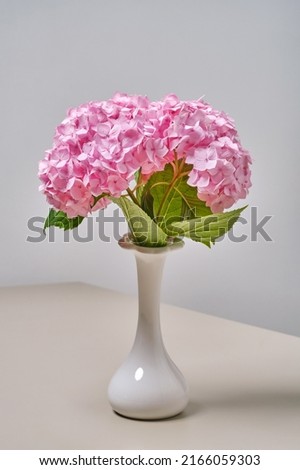 Beautiful spring bouquet of pink hortensia flowers. Hydrangea flowers in vase on table against light background. Spring holiday concept. Selective focus