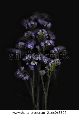 Flower scan background. Scanned flat limonium bouquet. Glitchy abstract distorted flowers of sea lavender. Colorful bright photocopy with scanner noise effect for advertising, poster or postcard. 