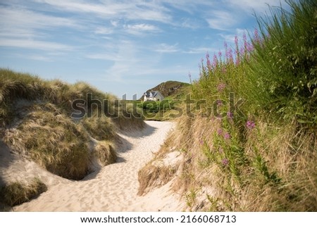 White sand beach flanked by vegetation leads to a white house under a blue sky in Camusdarach Beach, Mallaig, Scottish Highlands, UK