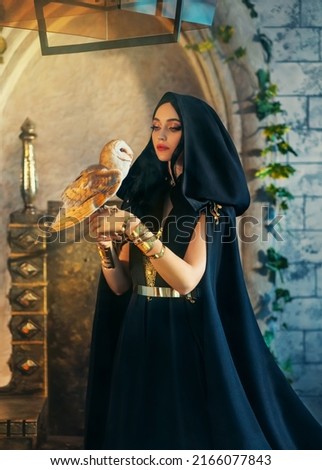 Portrait gothic fantasy halloween woman dark queen witch in black dress, cape hood on head. Girl elf princess sorceress holds white bird barn owl in hand. Art royal room throne brick wall. Lady goth.