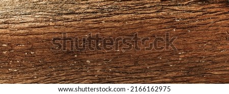 Panoramic photo relief texture of dry tree bark. Brown bark background. Banner. Royalty-Free Stock Photo #2166162975