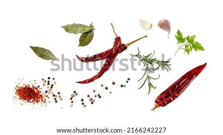 Aroma spice card: dried red hot chilli peppers, cloves garlic, mix peppercorn, bay leaves, rosemary and parsley fresh herb. Aromatic spicy ingredients for cuisine isolated on white background Royalty-Free Stock Photo #2166242227