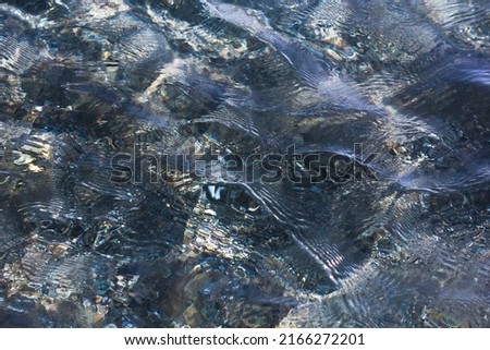 Blurred background of sea water with highlights and shades of green, blue, turquoise