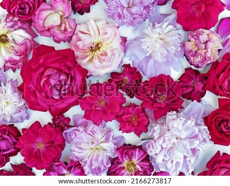 Beautiful roses and peonies on a white background