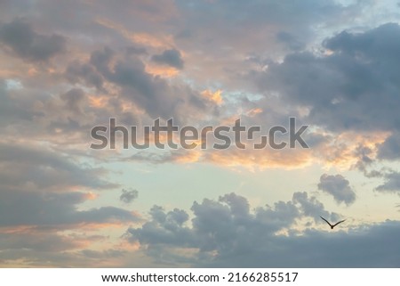 Beautiful fluffy clouds painted in bright painterly colors at sunrise. Multicolor background or wallpaper Royalty-Free Stock Photo #2166285517
