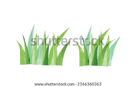 Simple green grass watercolor painting illustration isolated on white background. Floral background hand drawn clipart. Cartoon garden grass drawing