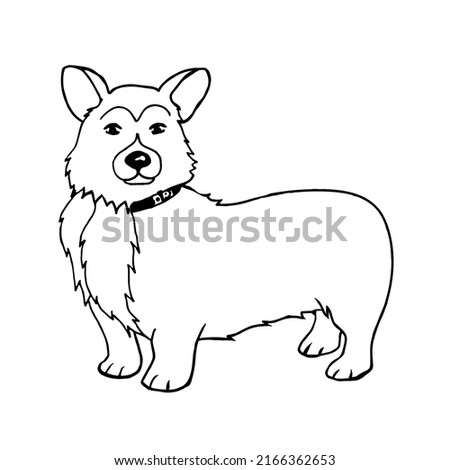 Cute corgi breed dog isolated on a white background.Vector illustration in doodle style.
