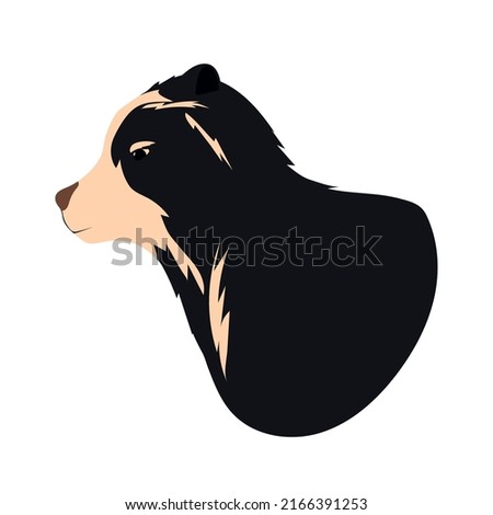 spectacled bear cartoon icon isolated