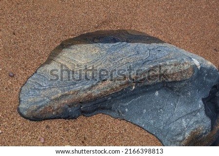 Dark gray stone in the shape of a crescent with burgundy stripes in the sea sand. Concept of stone.