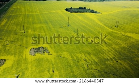 Blooming rapeseed field. With flooded areas. Aerial photography.