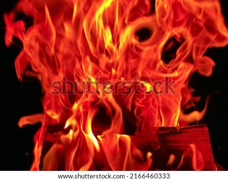 flames close up on a black background. burning wood. High quality photo