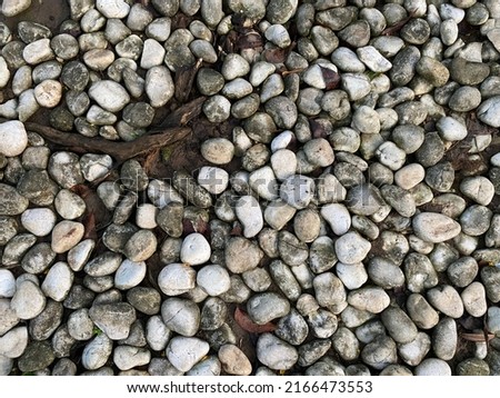 Beautiful white stones with brown dark tree root