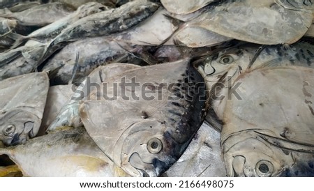 Fresh frozen fish in the traditional market