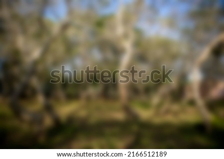 photo of trees in one of the graves of residents in Malang