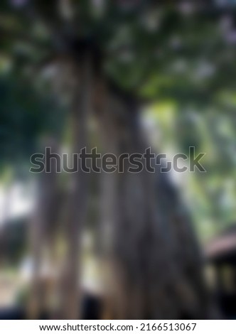 trees with long roots in the city of Malang