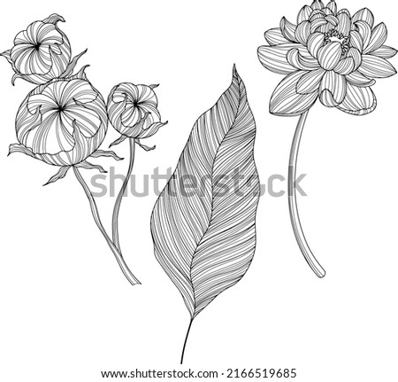 Abstract flowers isolated on white. Hand drawn line vector illustration. Eps 10