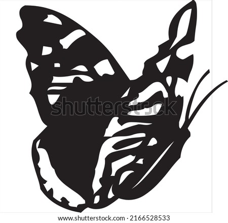 Vector, Image of silhouette butterfly icon, black and white color, with transparent background

