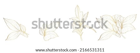 Golden Peony leaves set. Floral spring leaves. Isolated illustration element. Hand drawing wildflower for background, texture, wrapper pattern, frame or border.
