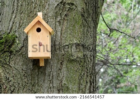 Birdhouse nailed to a tree. New home for birds.