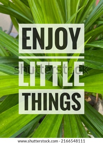 Inspirational Motivation Quotes. "Enjoy Little Things" in green pandan leaves background.