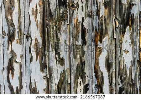 Wood texture for graphic use and background wallpaper