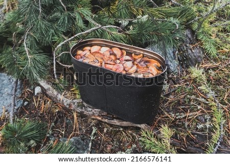 Camping pot with mouthwatering apple compote. Outdoor food. Wildlife lifestyle cooking delicious meal. Eat outside. Copyspace stock photography