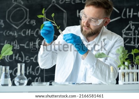 Biologist conducts experiments in a laboratory by synthesising compounds with use of dropper and plant in a test tube.
