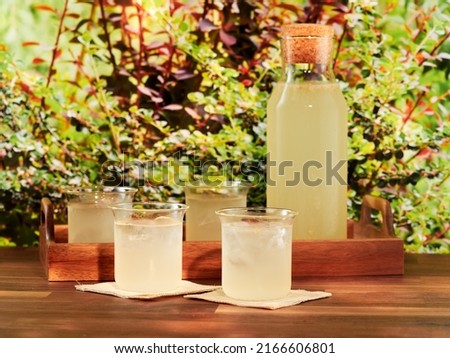 A carafe and four glasses of Elderflower cordial against a garden backdrop Royalty-Free Stock Photo #2166606801